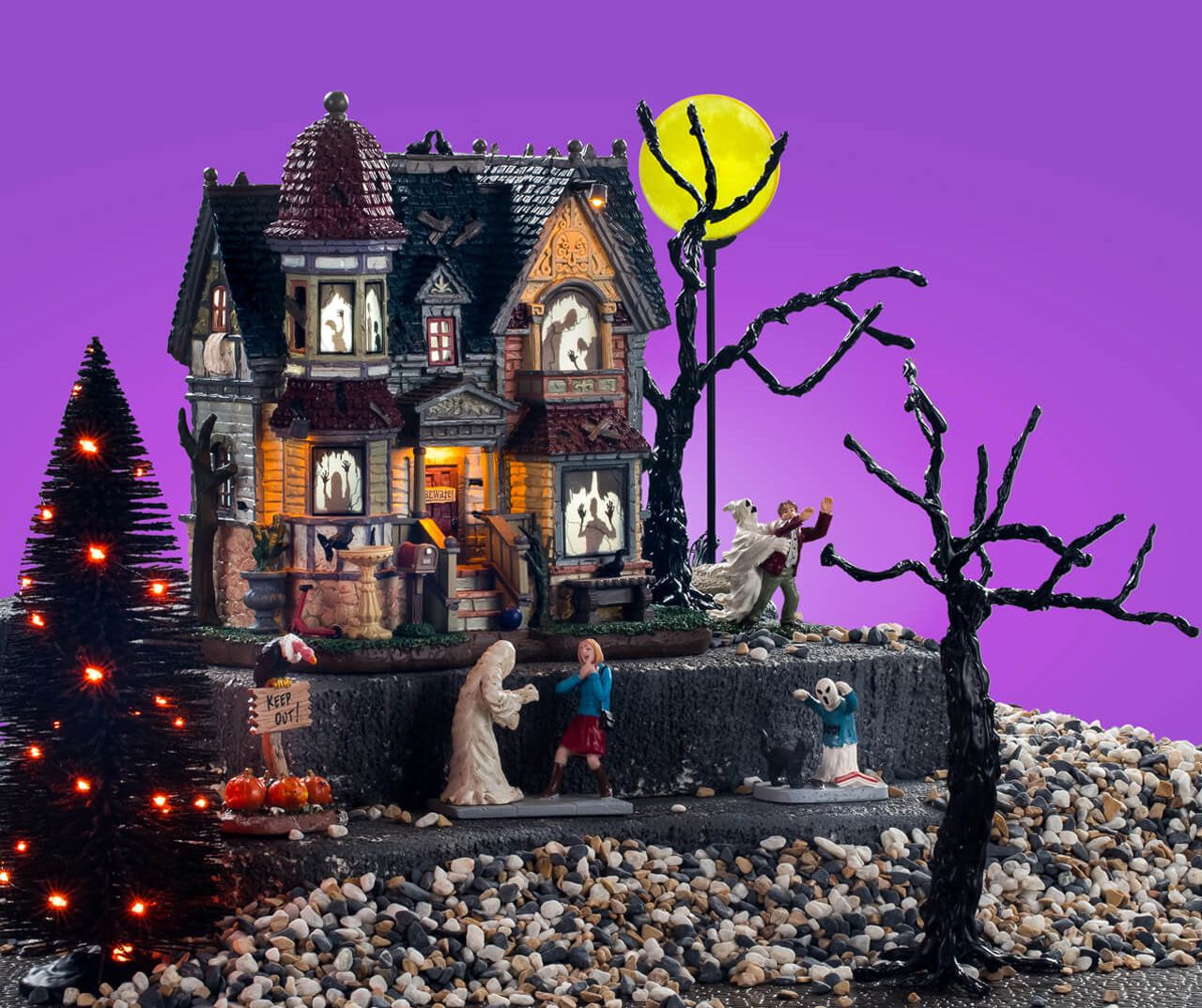 The House Of Shadows Set