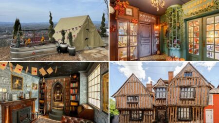 harry potter themed airbnbs in the world