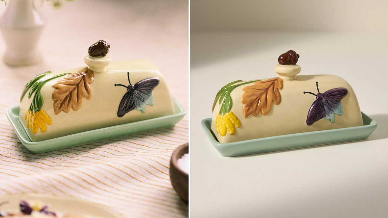 Anthropologie 2025 Fall Collection - The Faye Icon Stoneware Butter Dish