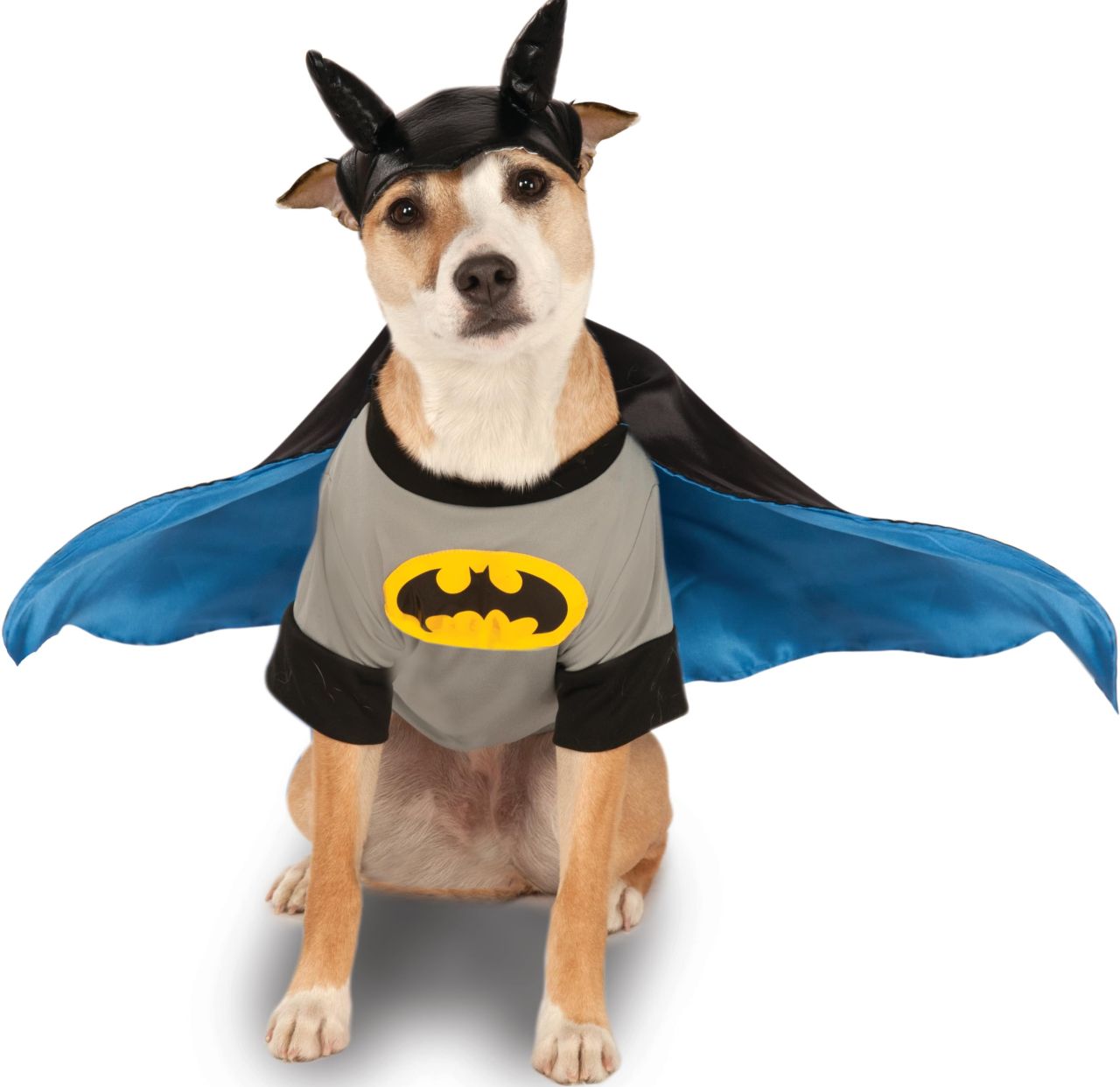 Batman Pet Costume