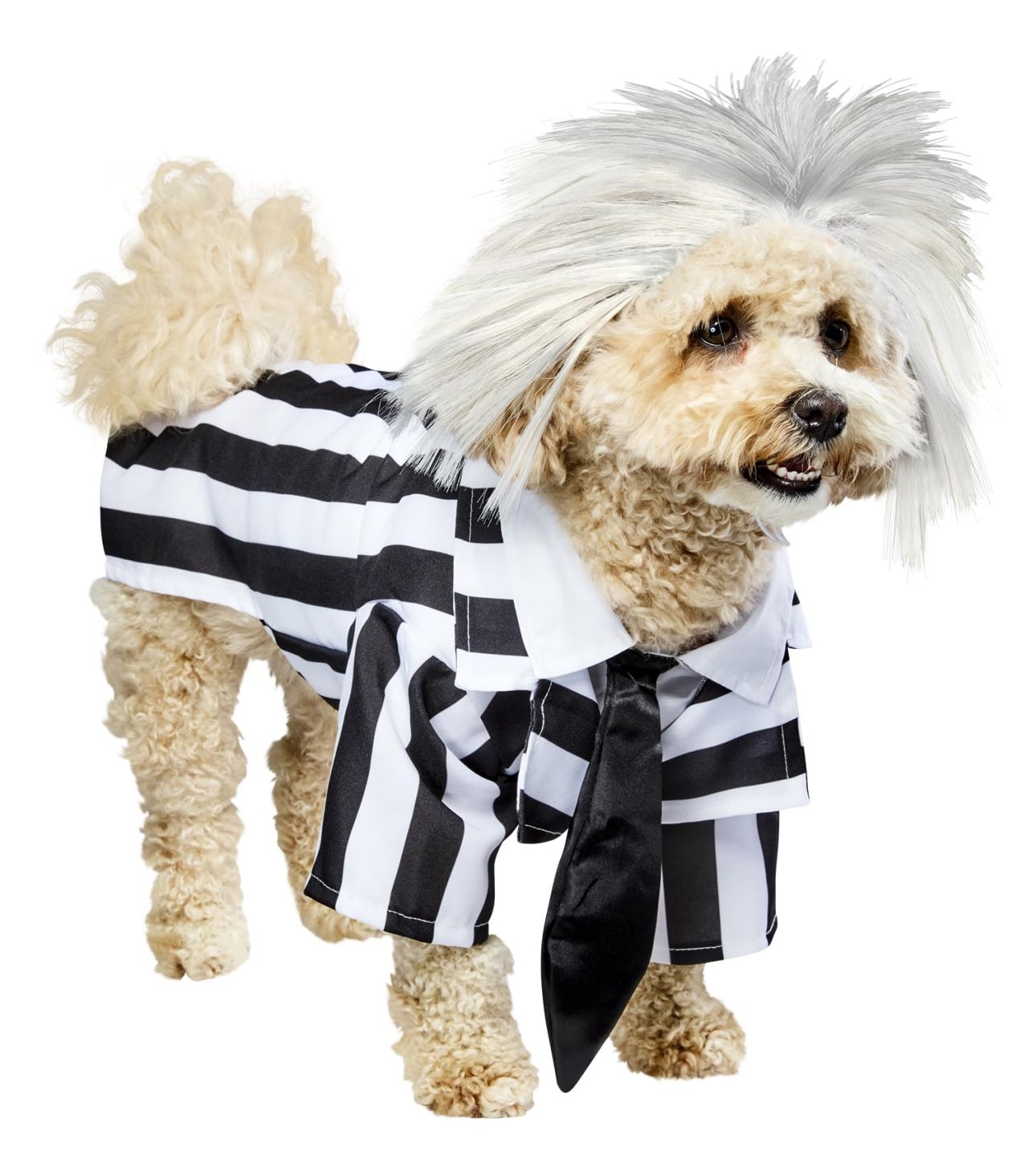 Beetlejuice Pet Costume