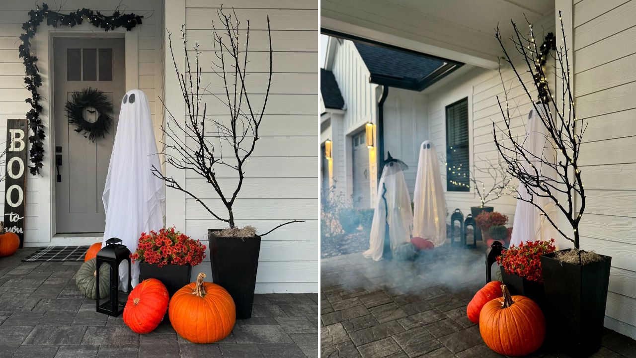 Classic Orange and Black Halloween Decoration Ideas - Mums and Dead Branches