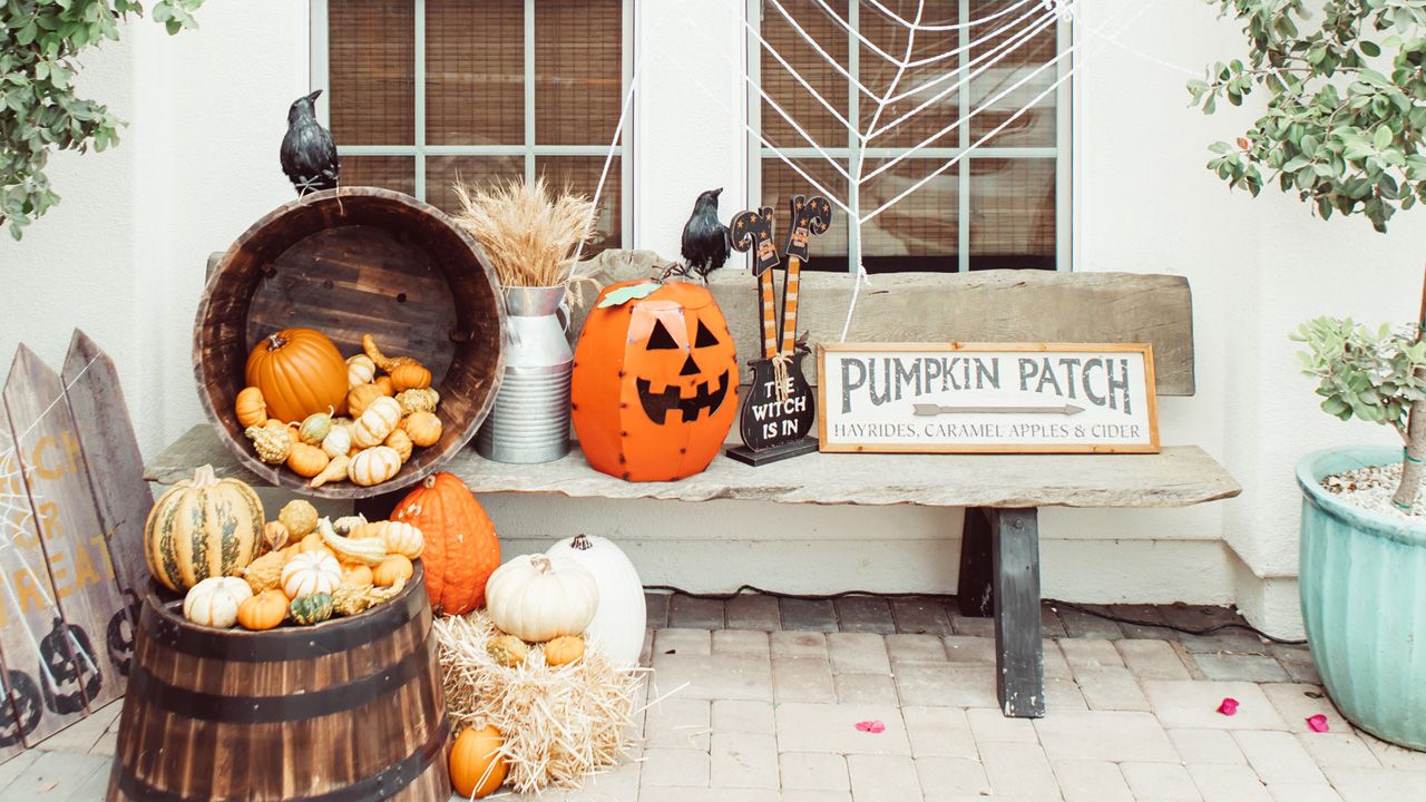 Classic Orange and Black Halloween Decoration Ideas - Outdoor Pumpkin Patch