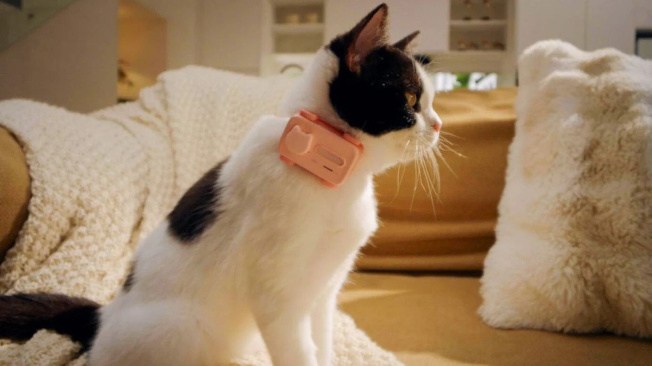 GlocalMe PetPhone – 1