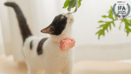 GlocalMe PetPhone