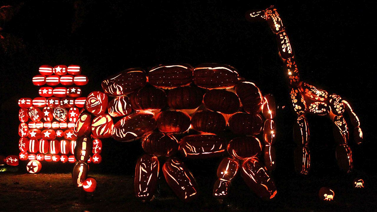 Great Jack O’Lantern Blaze 2025 - 1
