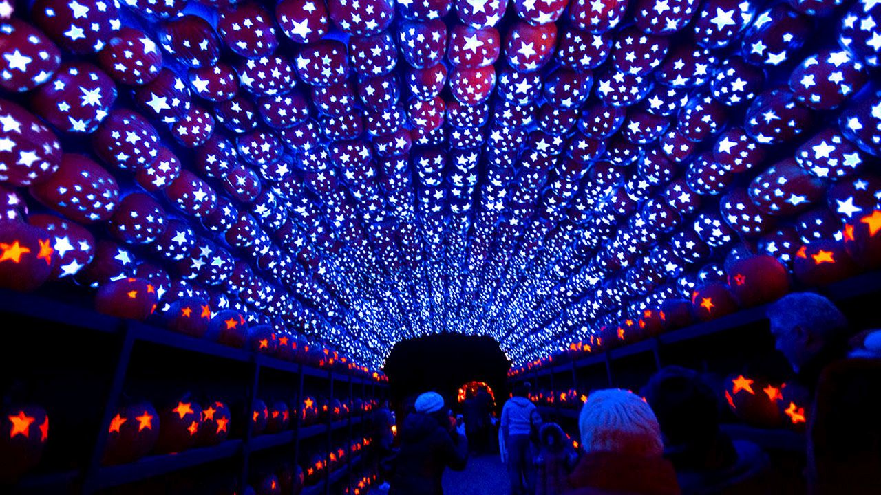 Great Jack O’Lantern Blaze 2025 - 2