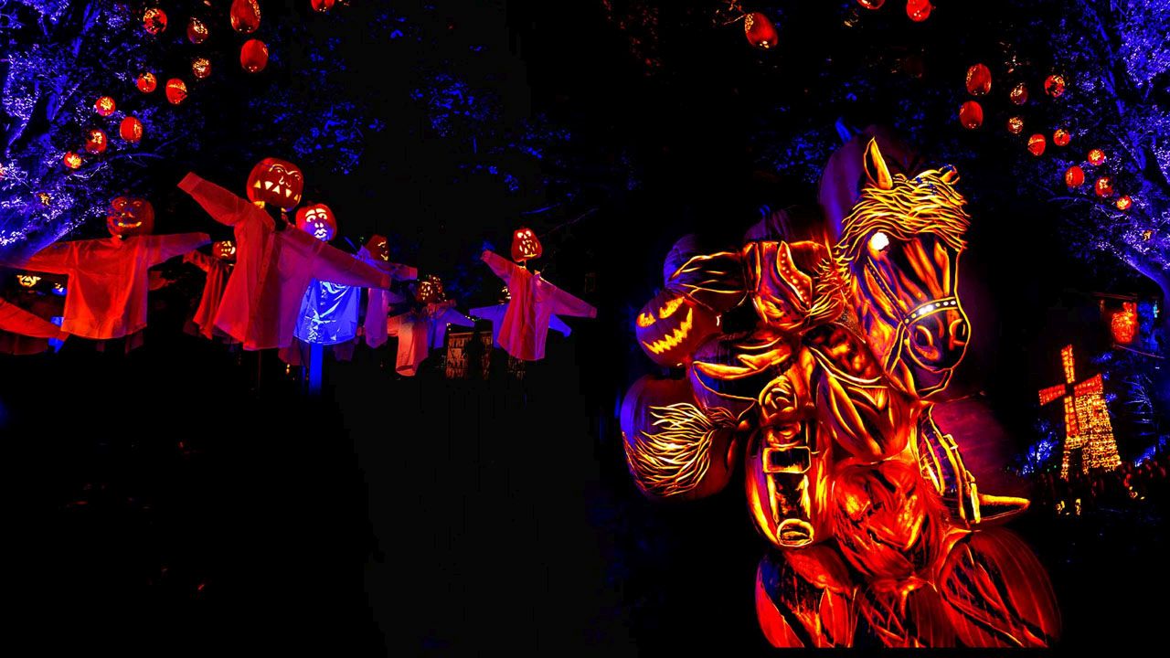 Great Jack O’Lantern Blaze 2025 - 5