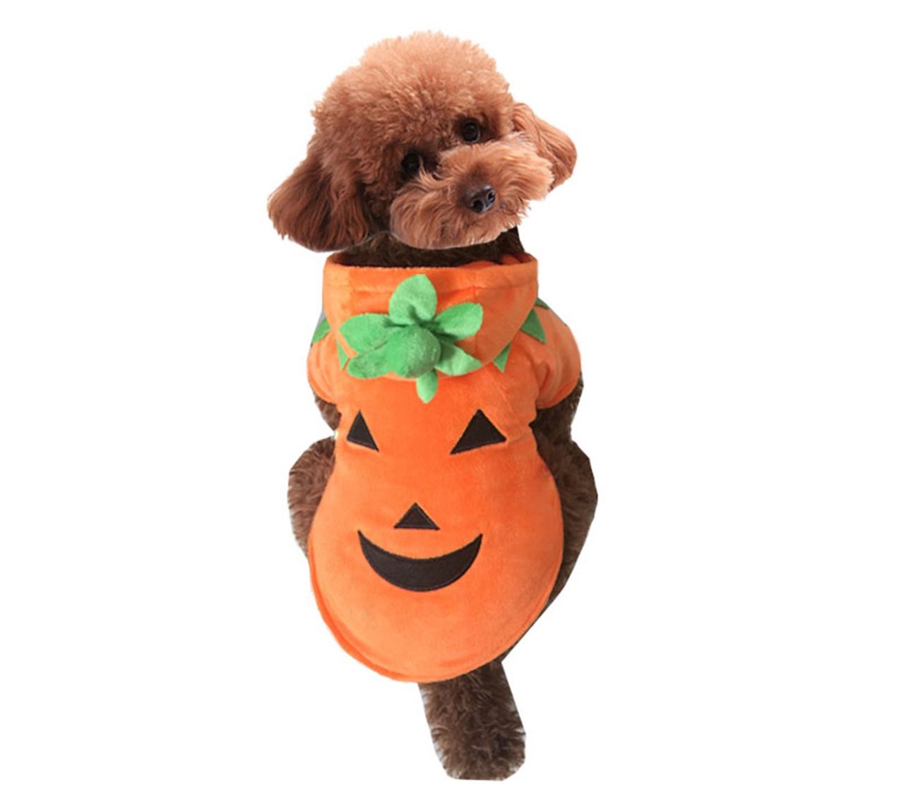 Halloween Pumpkin Costume