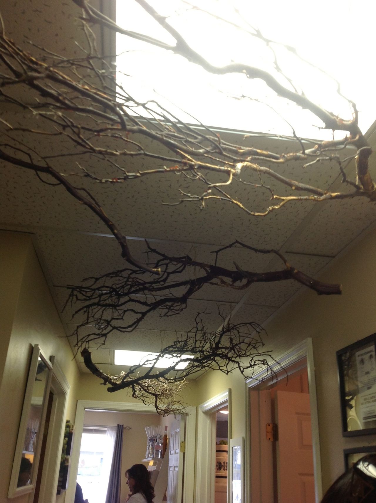Haunted Branches Hanging from Ceiling