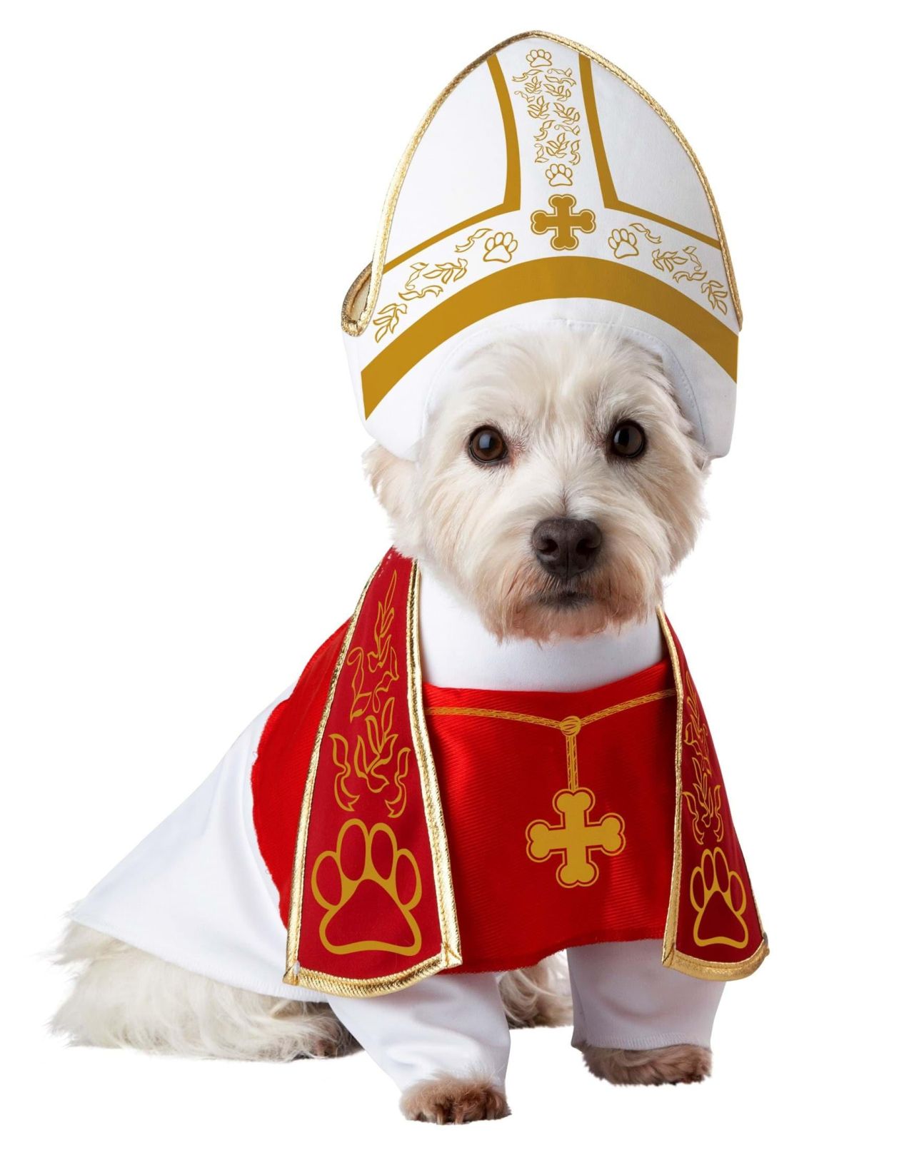 Holy Hound Pet Costume