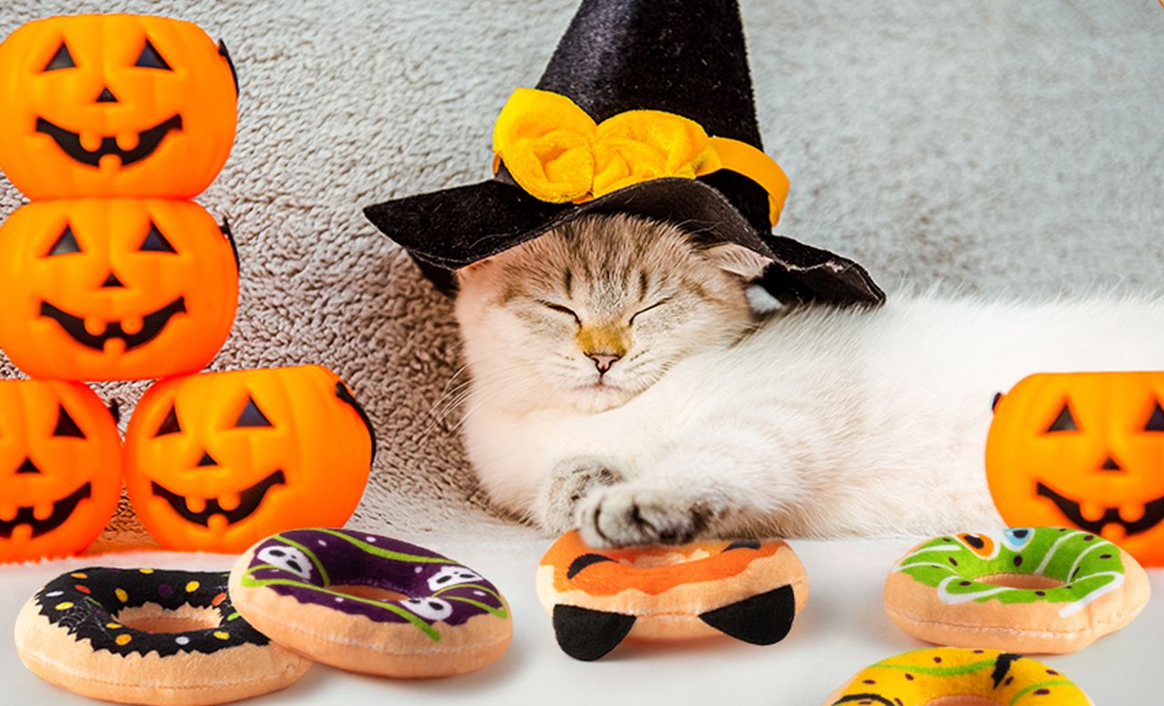 L1rabe Halloween Donut Catnip Stuffed Toys - 2