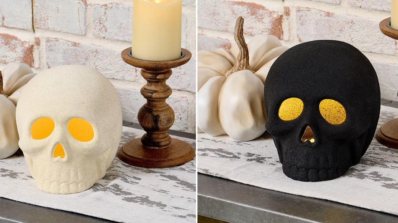 Martha Stewart Illuminated Tabletop Skull with Remote