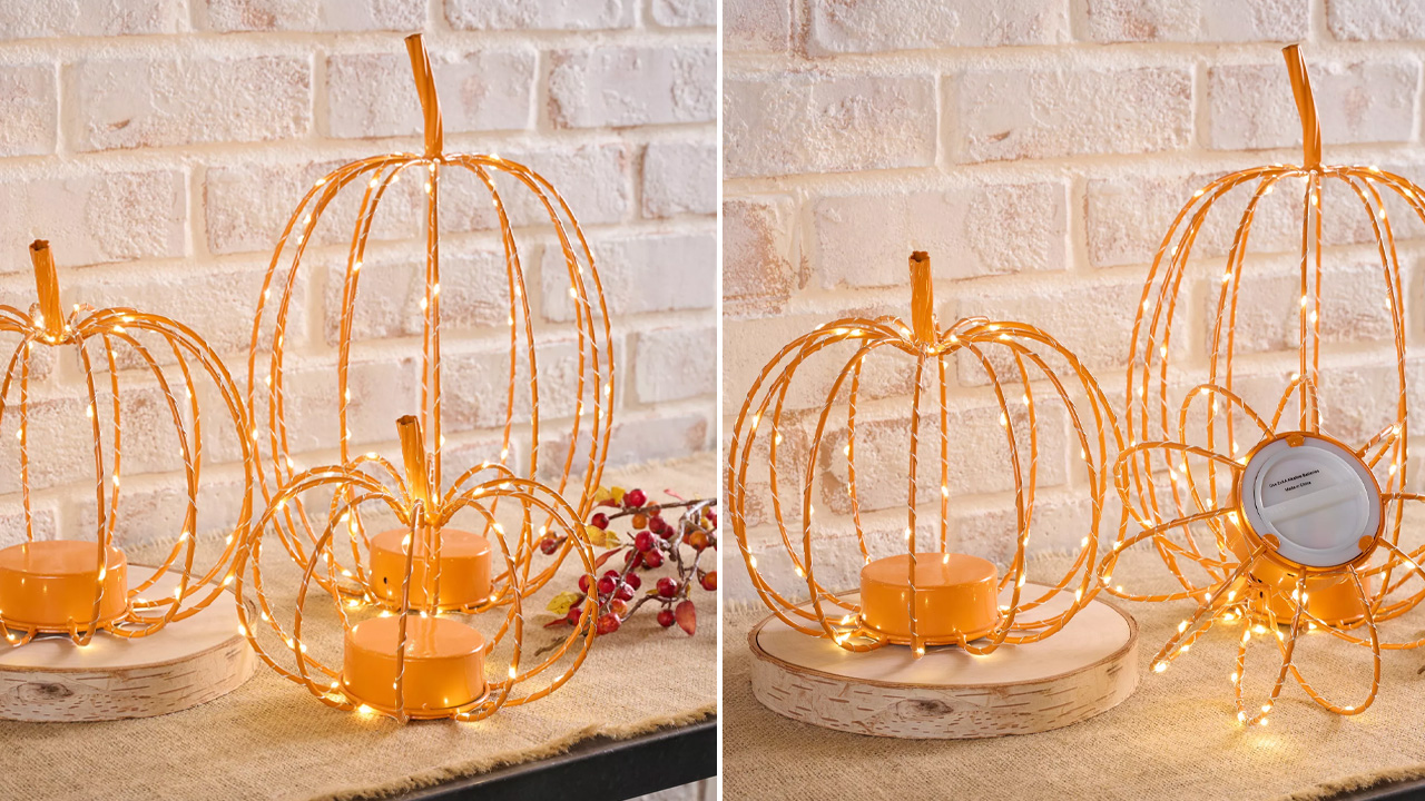 Martha Stewart Illuminated Wire Pumpkins