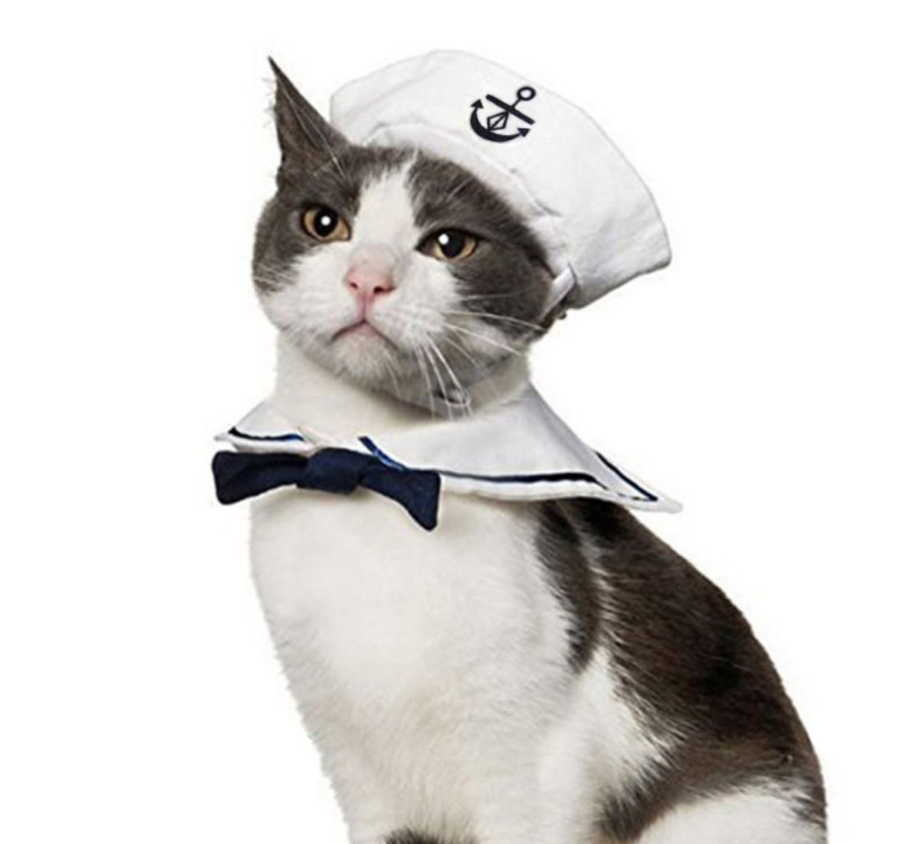 Pet Sailor Costume for Cats