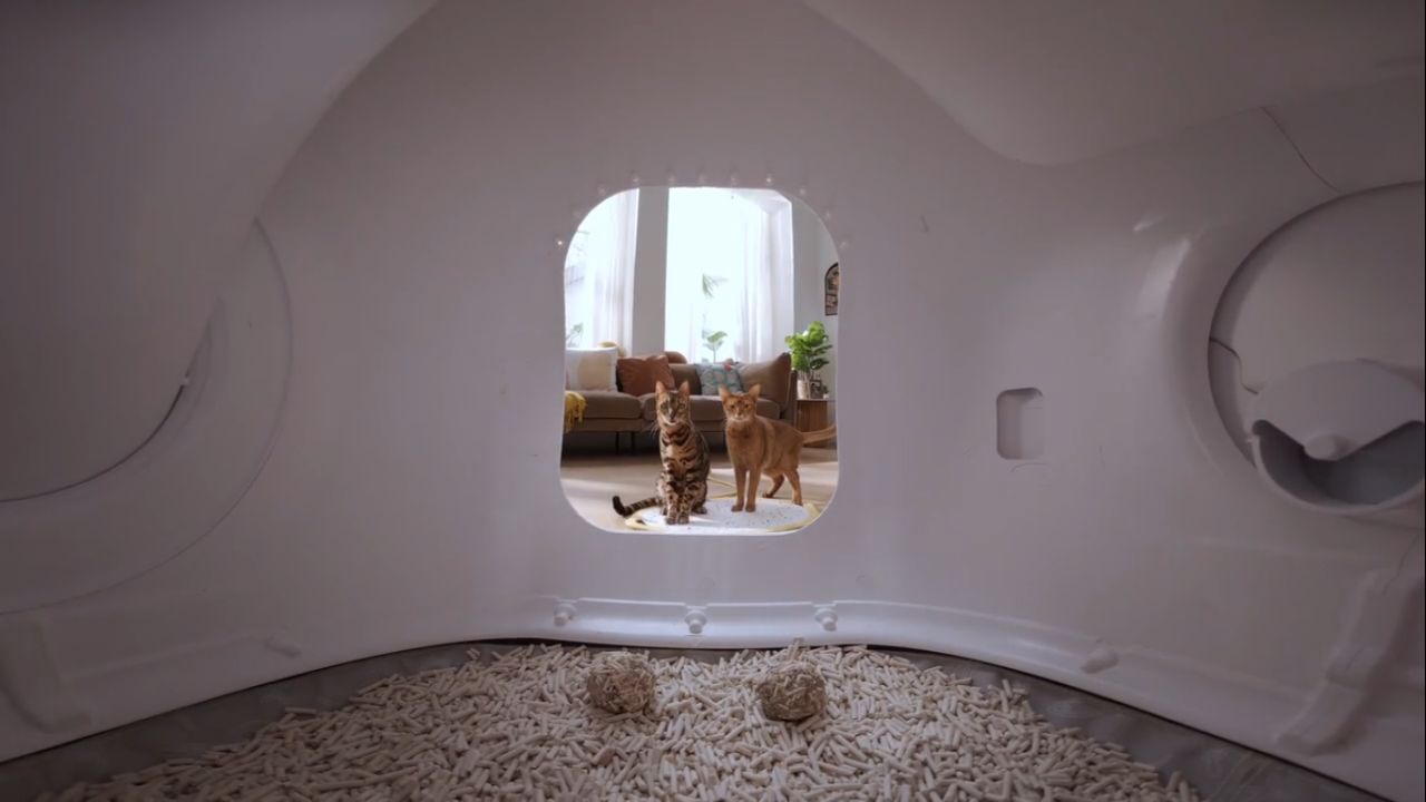 PetSuper LitterGo PLT01 Automatic Litter Box