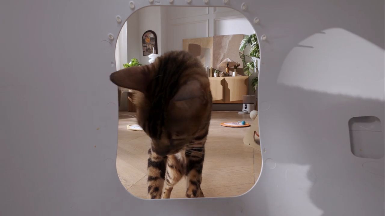 PetSuper LitterGo PLT01 Automatic Litter Box