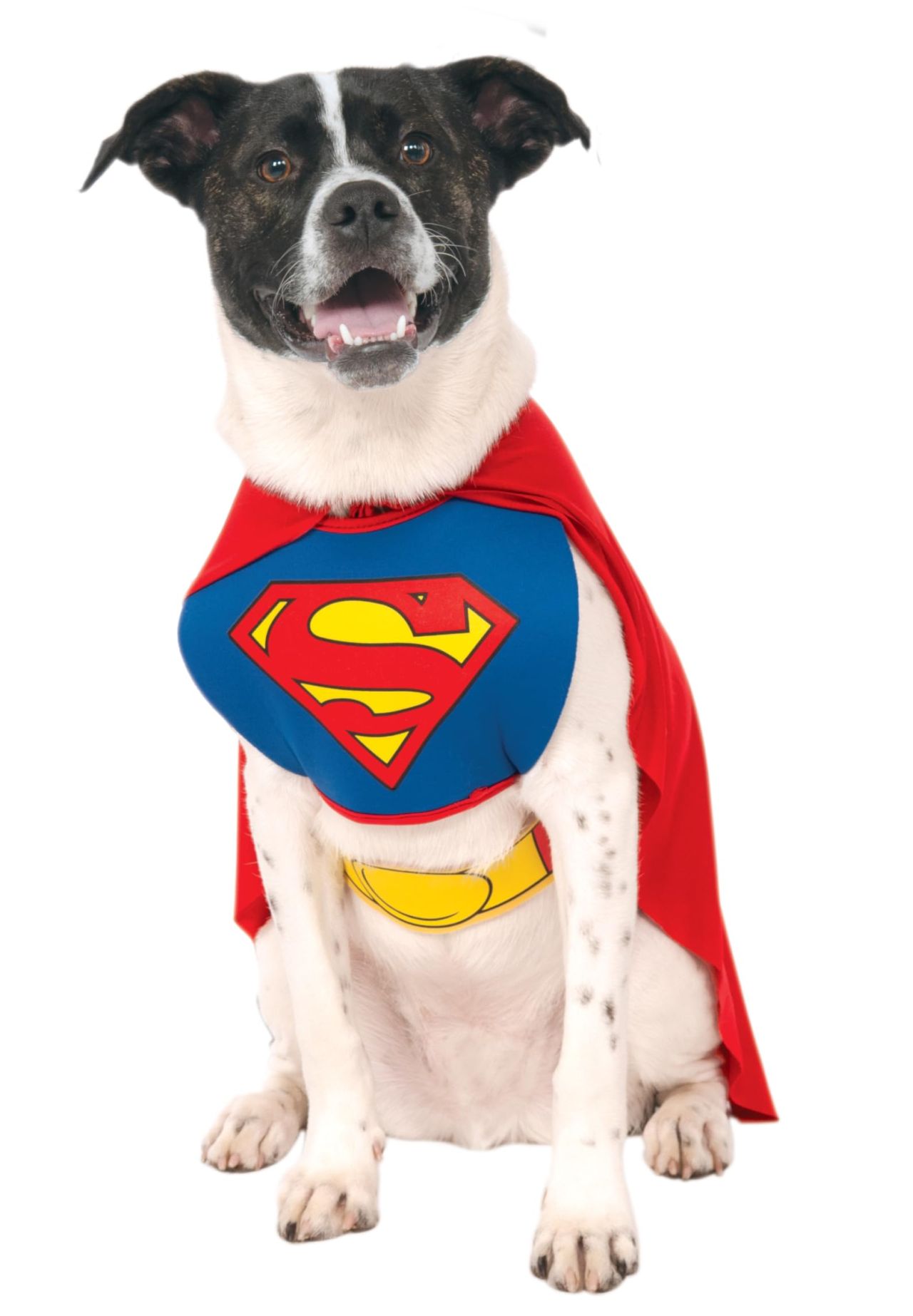 Superman Pet Costume