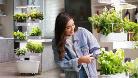 TGTOWFC Smart Hydroponic Garden Grows 48 Plants at Once