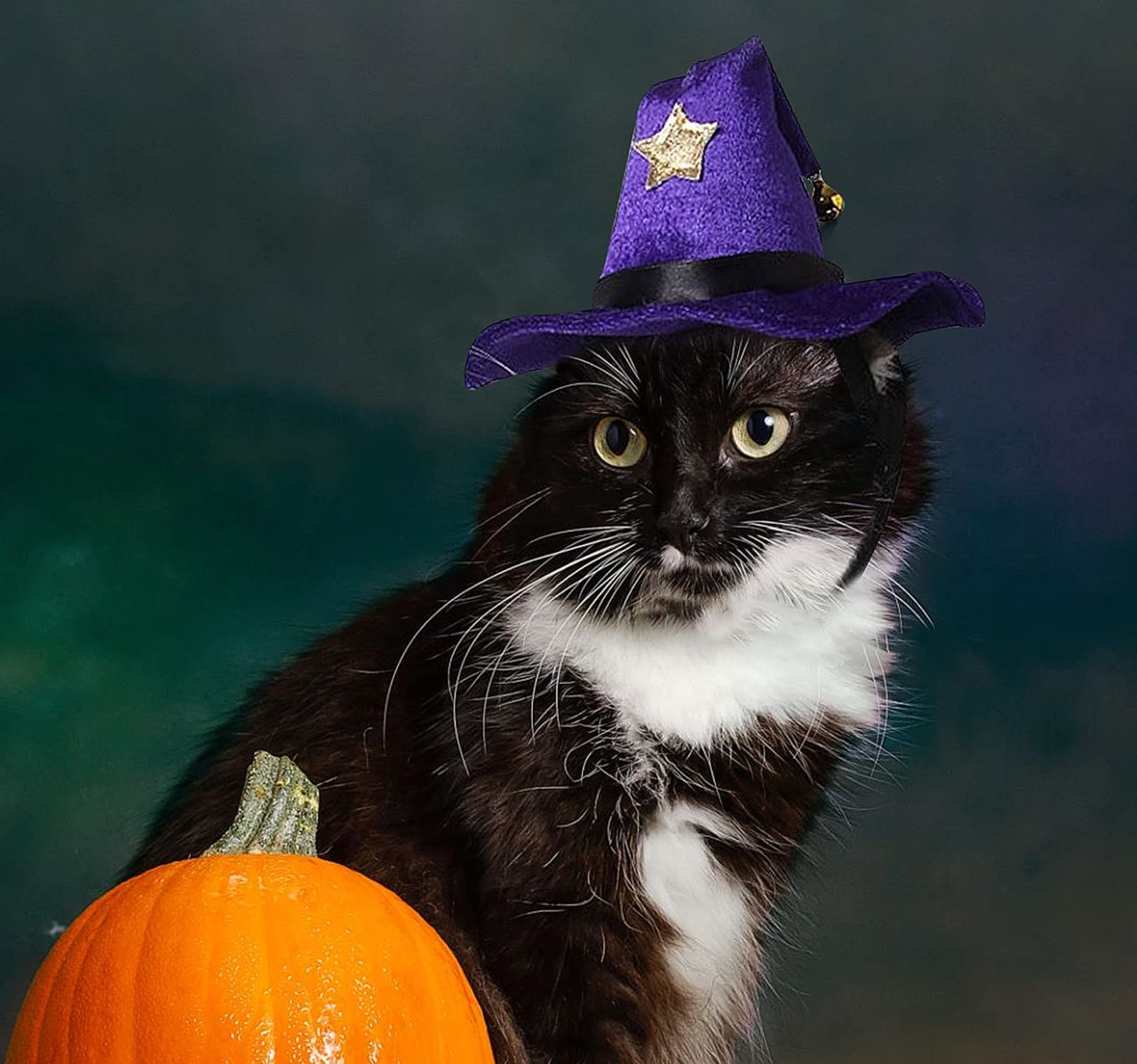 Witch Hat Halloween Costume
