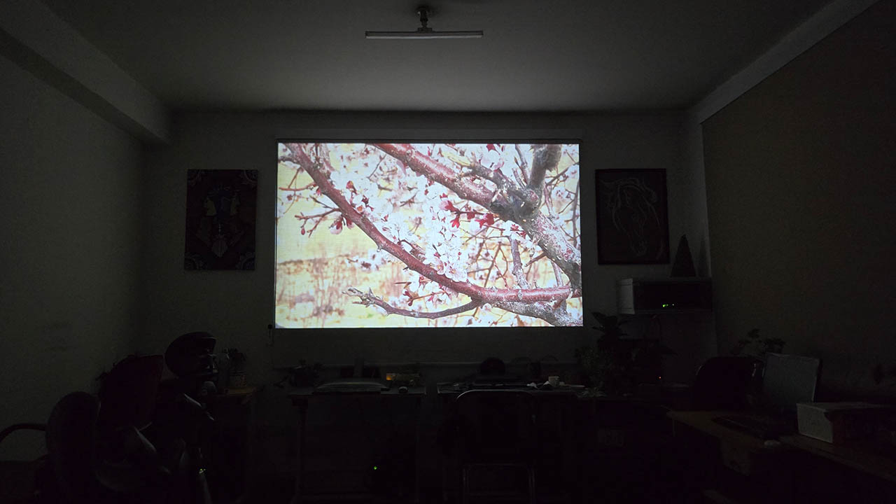 Yaber’s T1 Pro Full HD Portable Projector - nature view