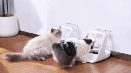 ePawDen Microchip Pet Feeder