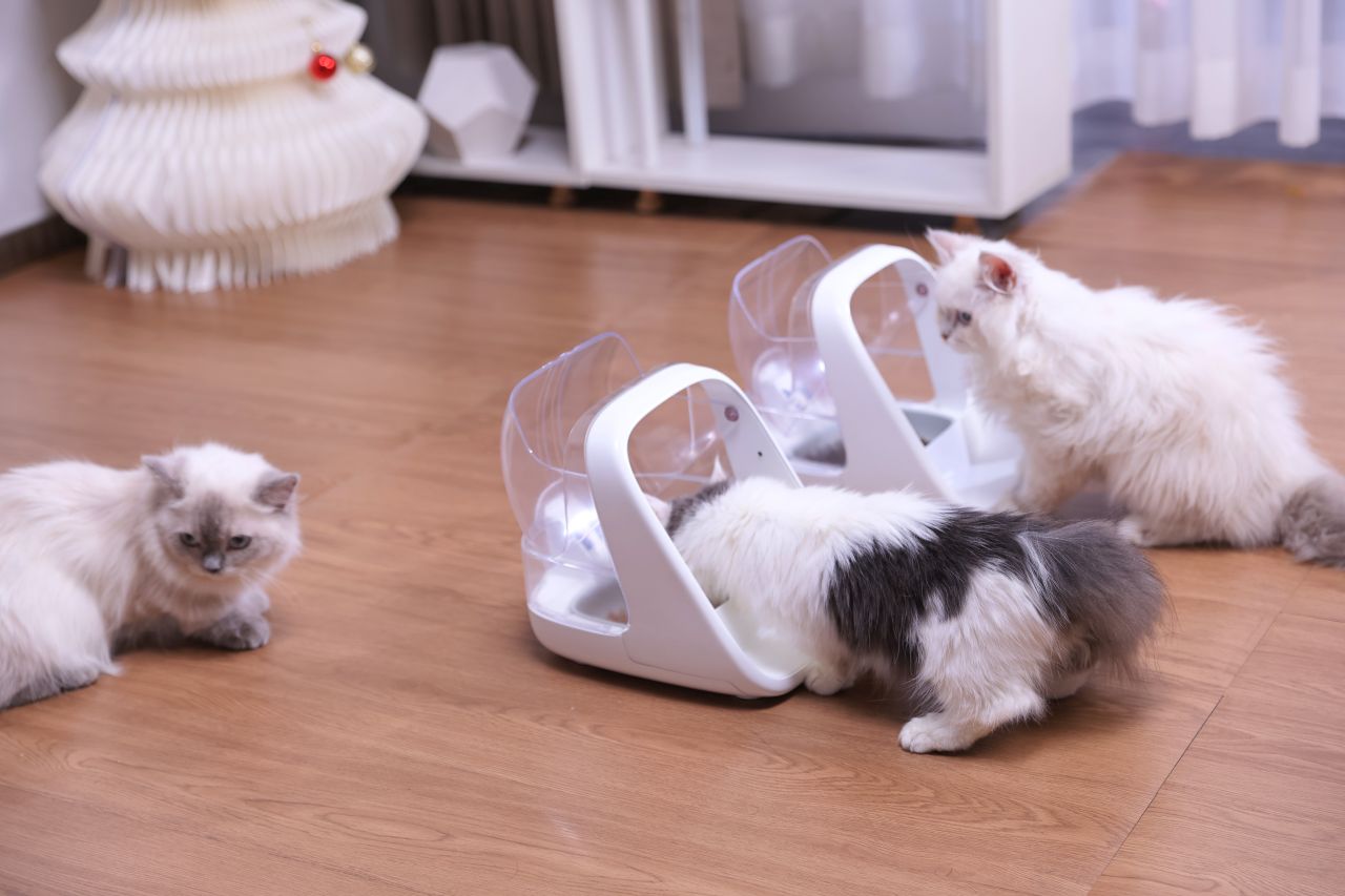 ePawDen Microchip Pet Feeder