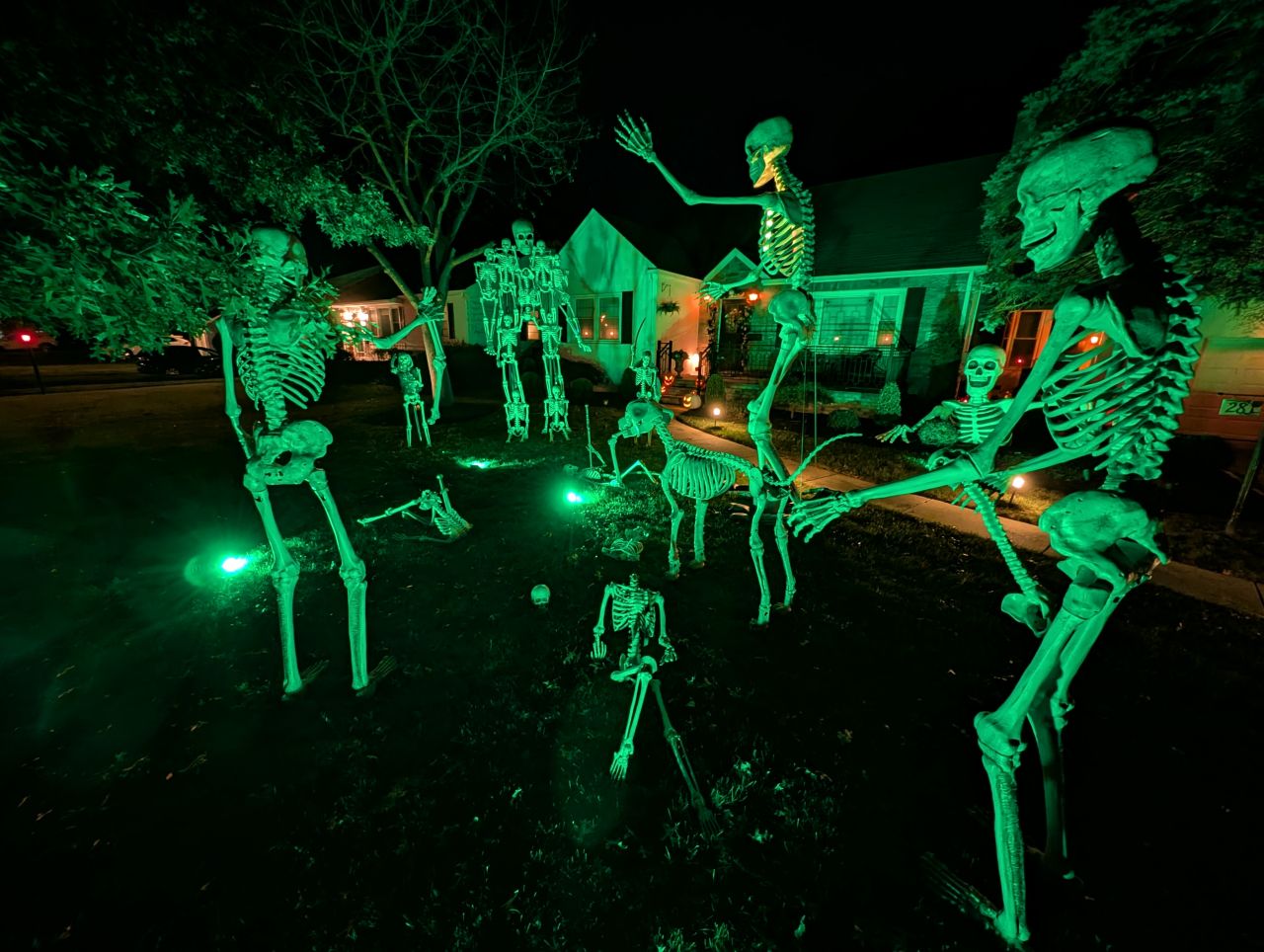 Battle between skeletron and 12-foot skeleton