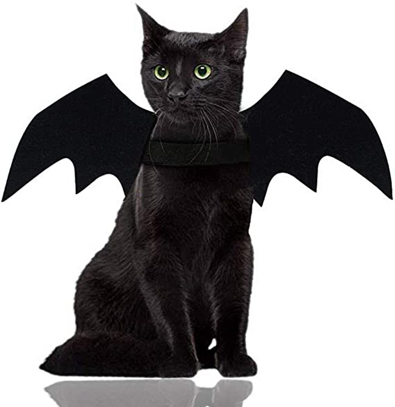 DIY Cat Costumes for Halloween - Bat Wings Cat Costume