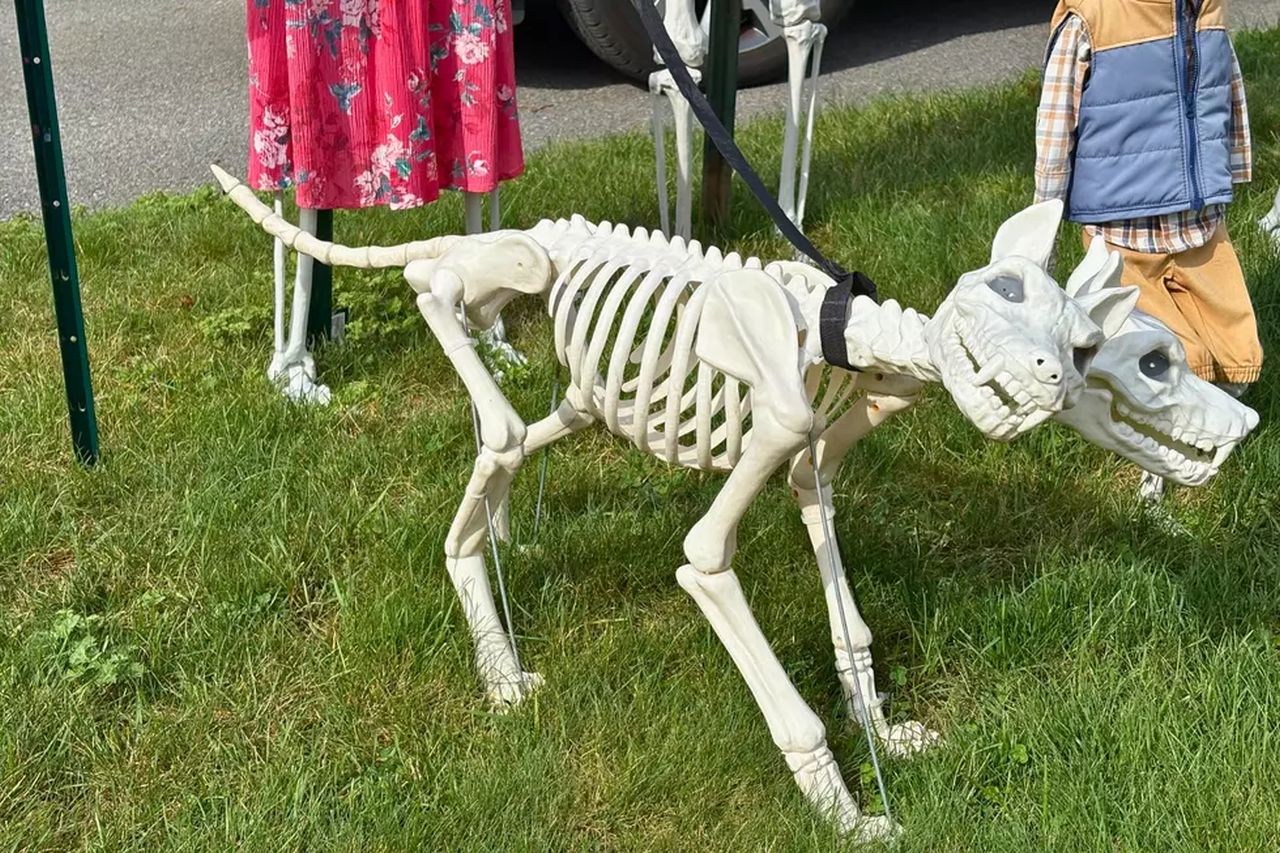 Kid Friendly Dartmouth Halloween skull pets