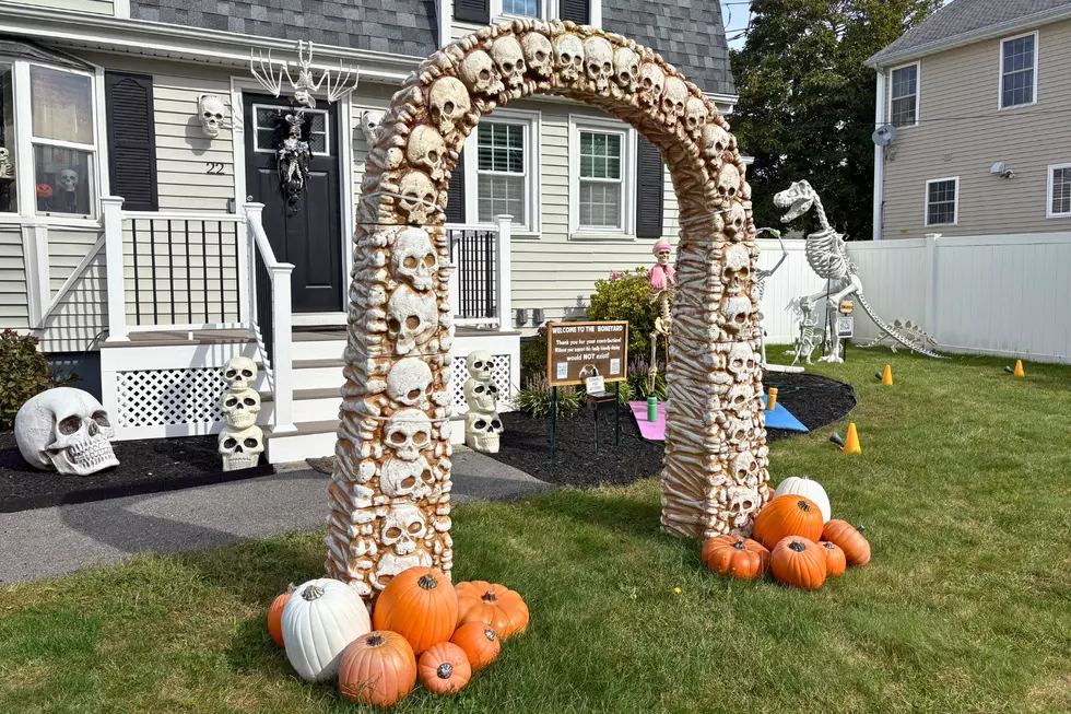 Kid Friendly Dartmouth Halloween archway