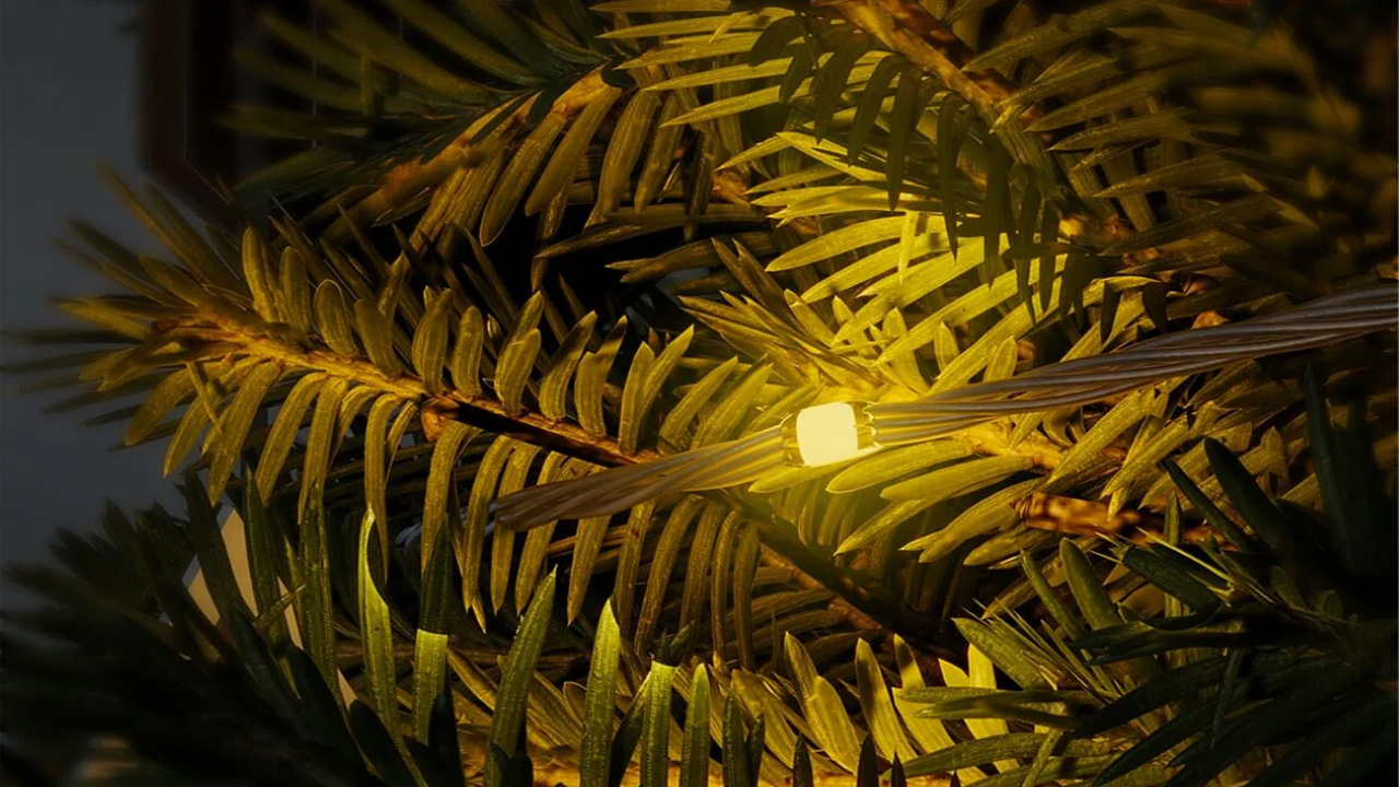 The light strings are sturdy enough to be used on trees outdoors