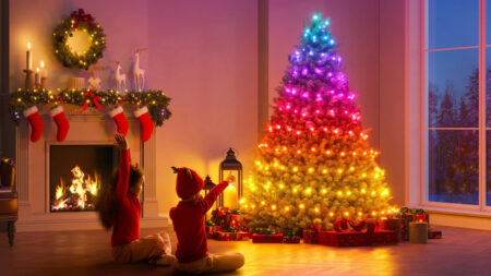 Govee Christmas lights has lovely colorful presets