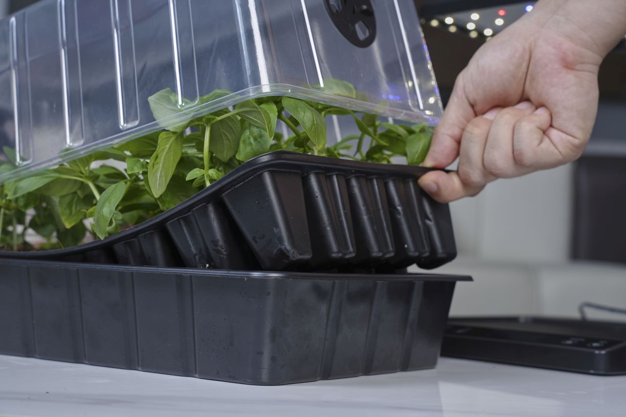 LetPot SS-Pro Smart Seed Starter Kit