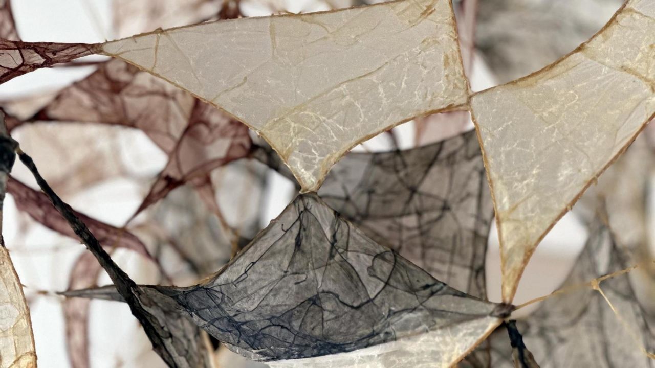 Louvanes intricate design