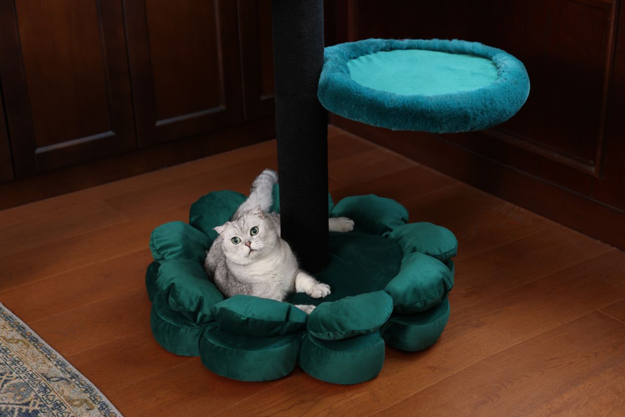 Purr Nook Furniture-Grade Cat Tree