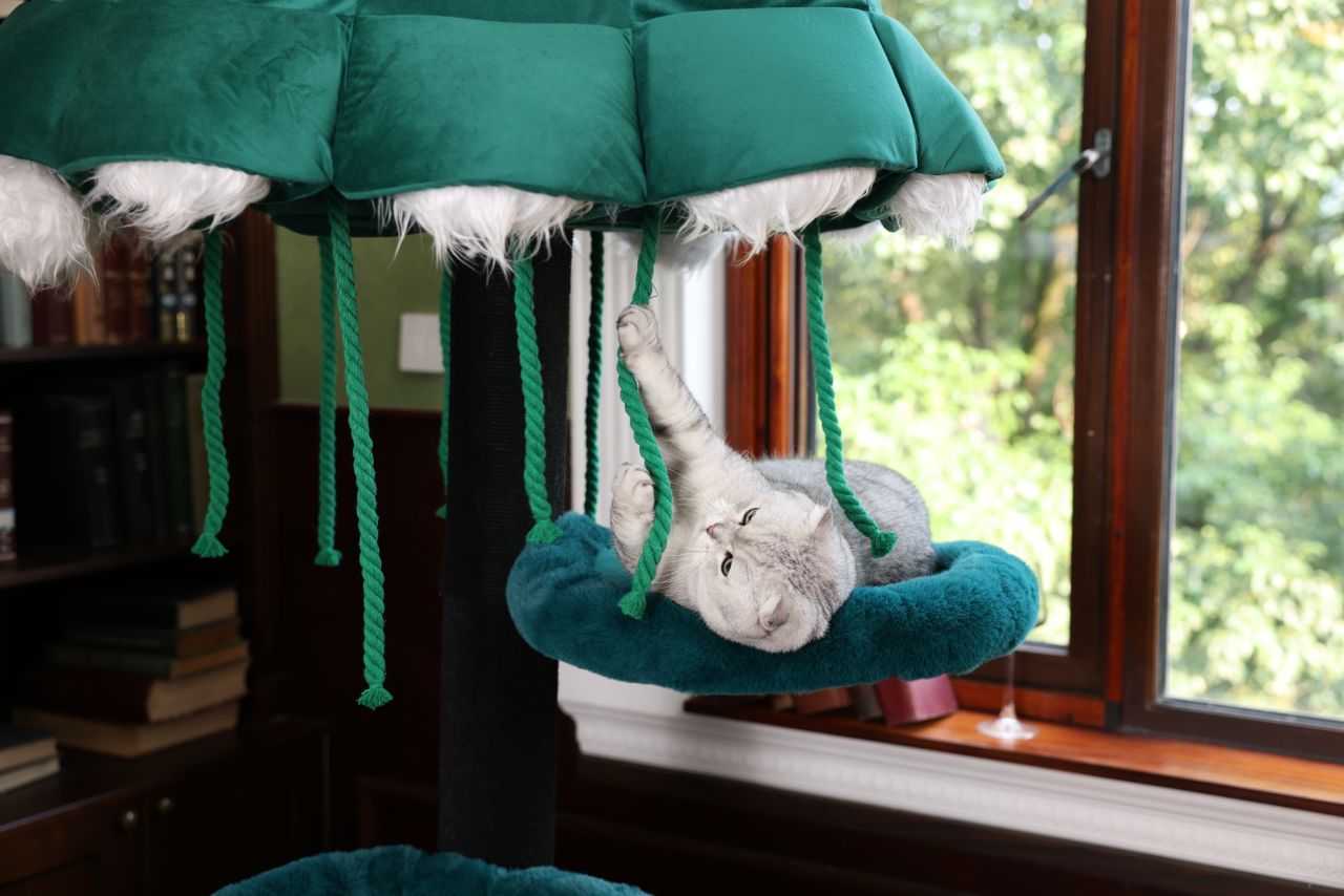Purr Nook Furniture-Grade Cat Tree
