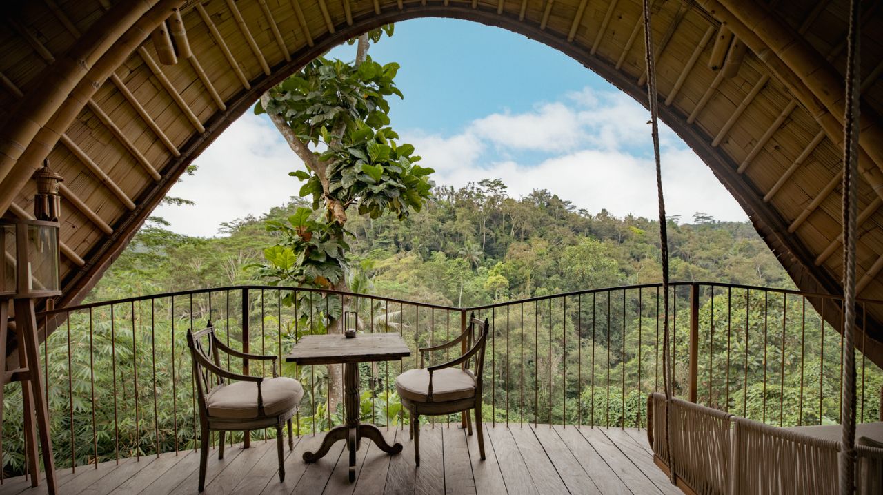 Refreshing panoramic view of rich foliage soothes soul