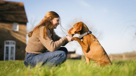 SATELLAI GPS tracker collar