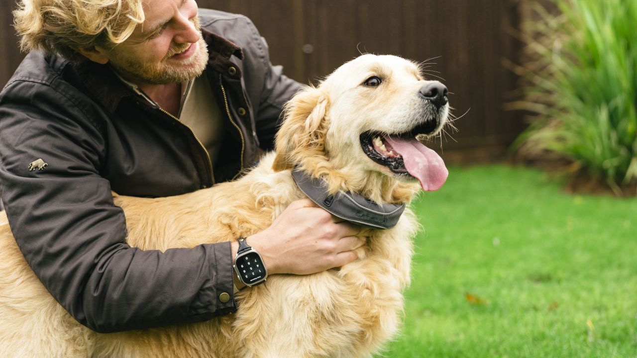 SATELLAI GPS tracker collar