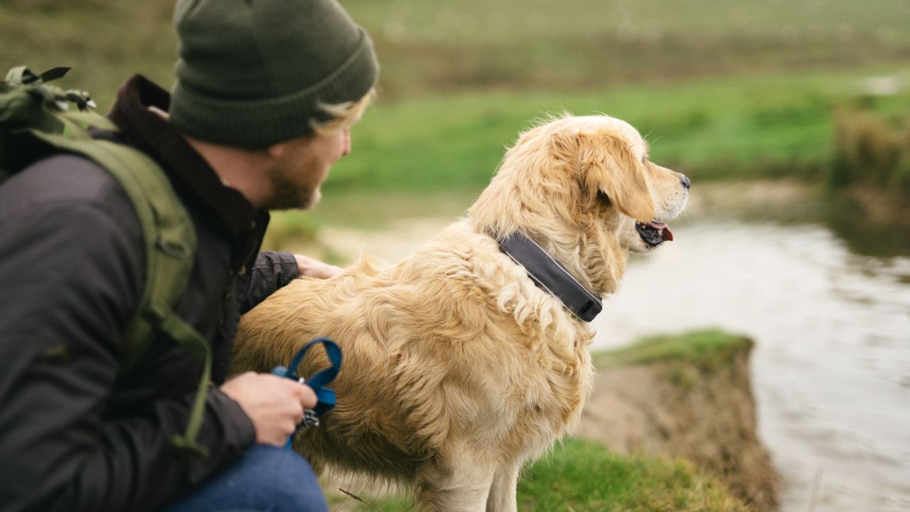 SATELLAI GPS tracker collar