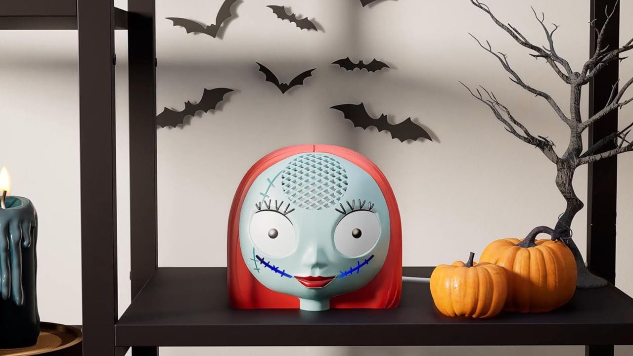 Sally Echo Dot case