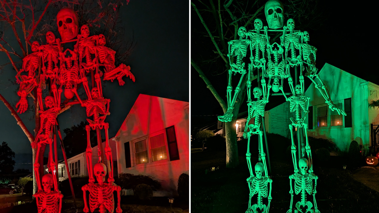 Size Comparison of Skeletron Before and After