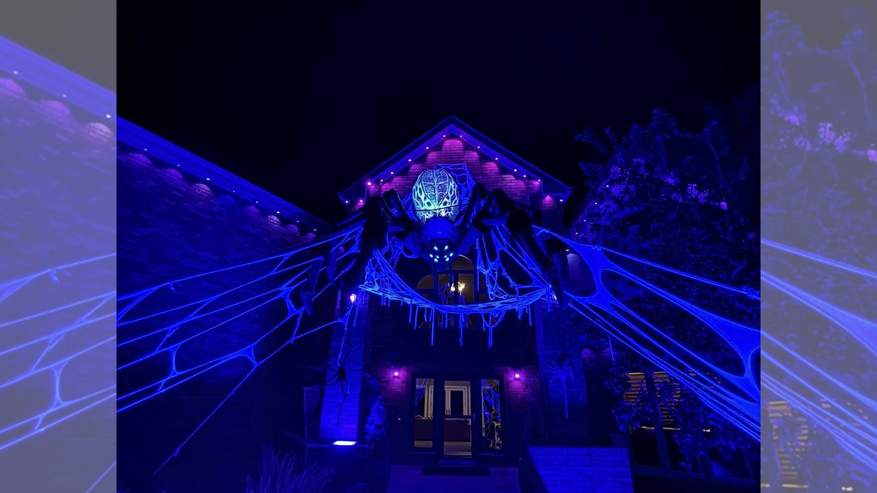 Spider Halloween Display -1