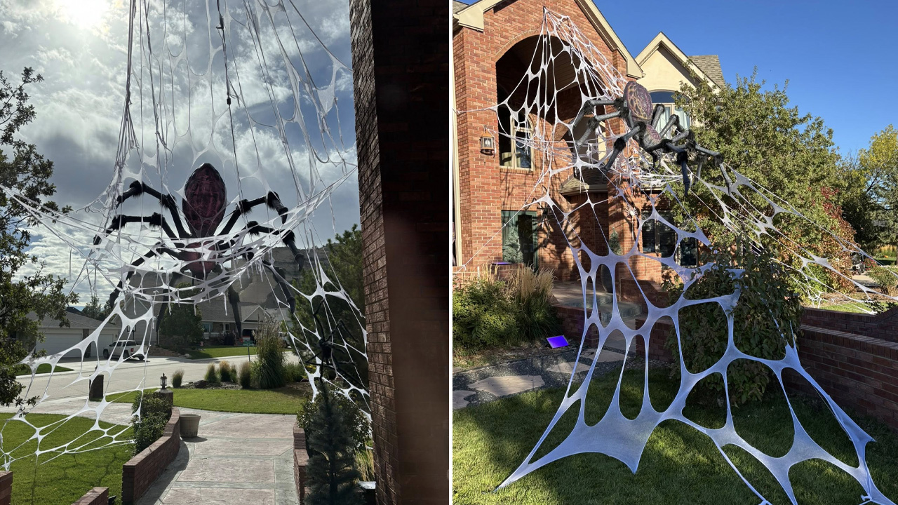 Spider Halloween Display