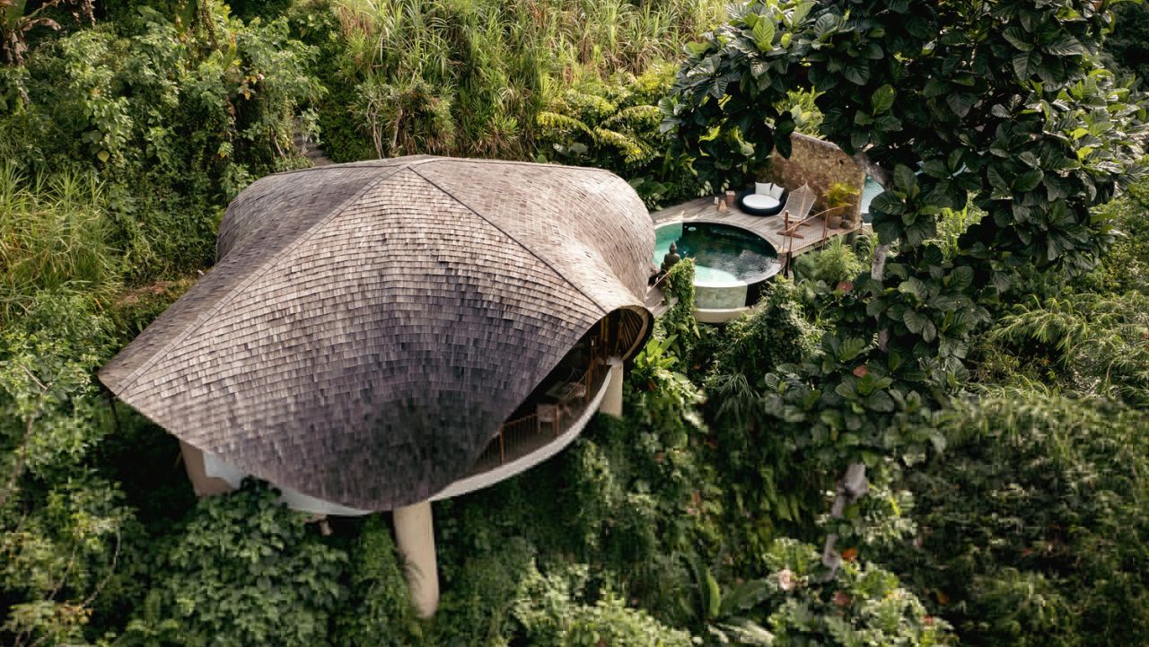 Sustainable architecture perched right in middle of rich foliage doesn't harm the environment