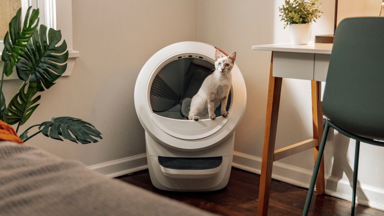 Whisker Litter-Robot AI Self-Cleaning Litter Box - 1