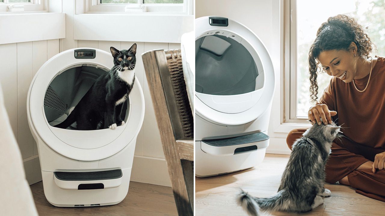 Whisker Litter-Robot AI Self-Cleaning Litter Box - 6