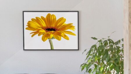 From Paper to Metal: The Evolution of Long-Lasting, Sustainable Wall Art metal photo prints