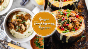 10 Vibrant Vegan Thanksgiving Recipes to try in 2025 10 Rich, Vibrant Vegan Thanksgiving Recipes to Satisfy Your Taste Buds